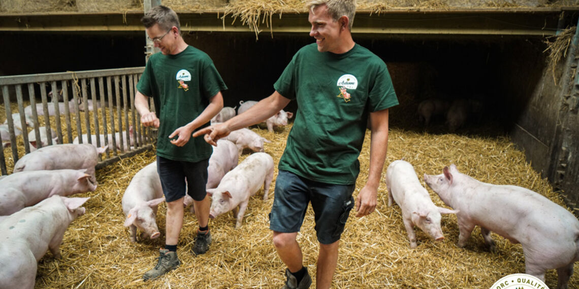 Cochonnailles ou le porc dans tous ses états 