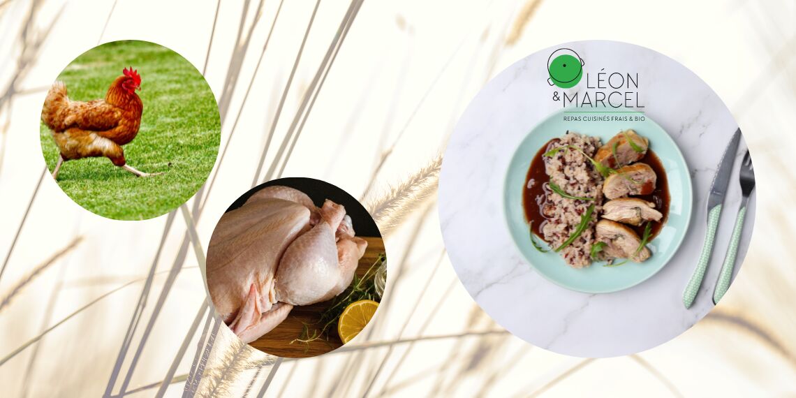 Le poulet biologique, avec ou sans os ?