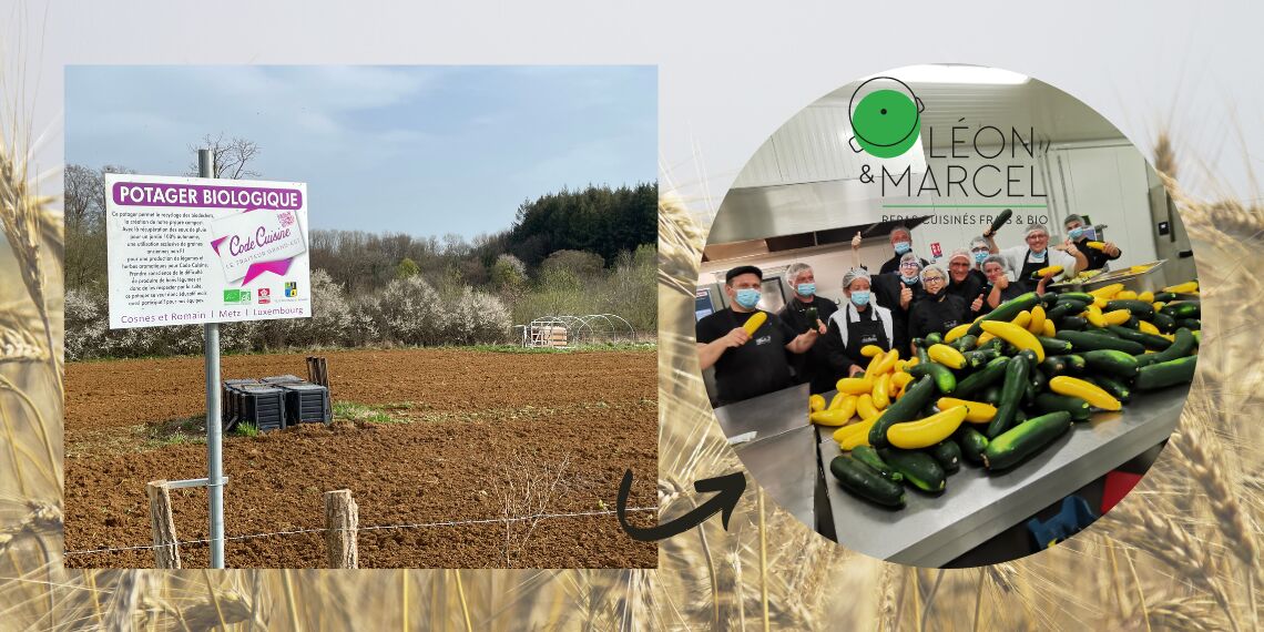 Livraison de repas bio : qu’est-ce que la certification agriculture biologique ?