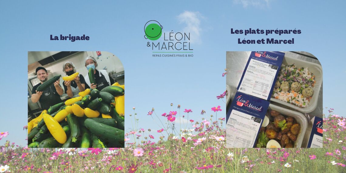 Un plat préparé est-il véritablement bon pour votre santé ?